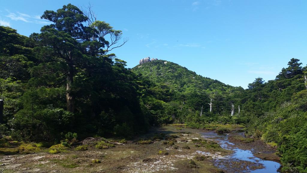 Minnsyuku Yakushimaya Yakushima  Luaran gambar