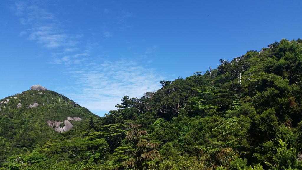 Minnsyuku Yakushimaya Yakushima  Luaran gambar